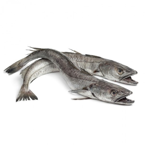 Hake Fish  (1piece /1kg )
