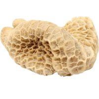 Honeycomb  Box 10kg...