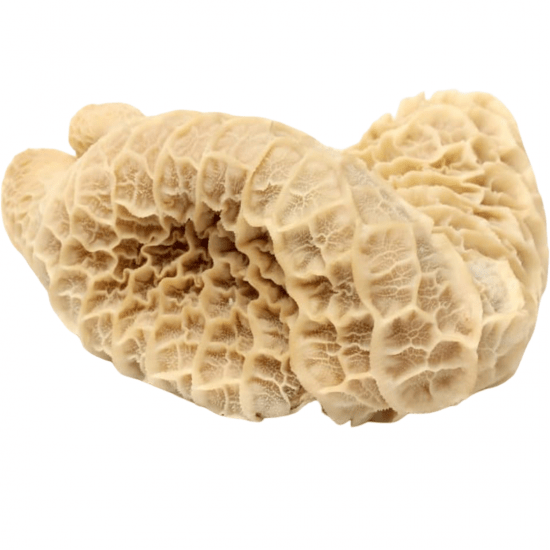 Saki-Beef Tripe 12kg...