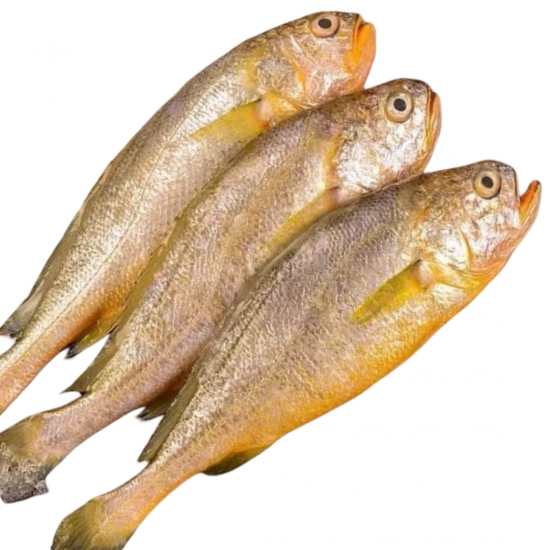 Yellow Crocker Fish 1kg 