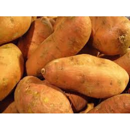 Sweet Potato Red 1kg ...