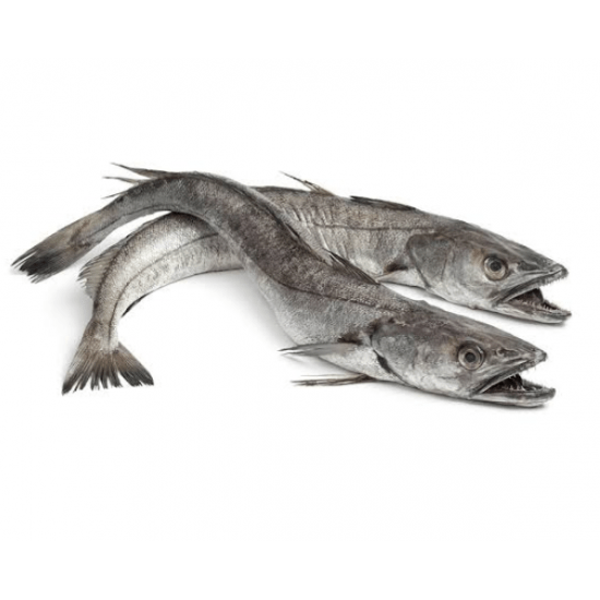 Hake Fish Box 15KG
