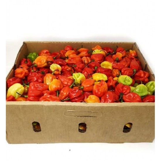 Rodo Scotch Bonnet Ata/Hot Pep...