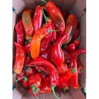 Tatashe Pepper (Red Cap pepper...