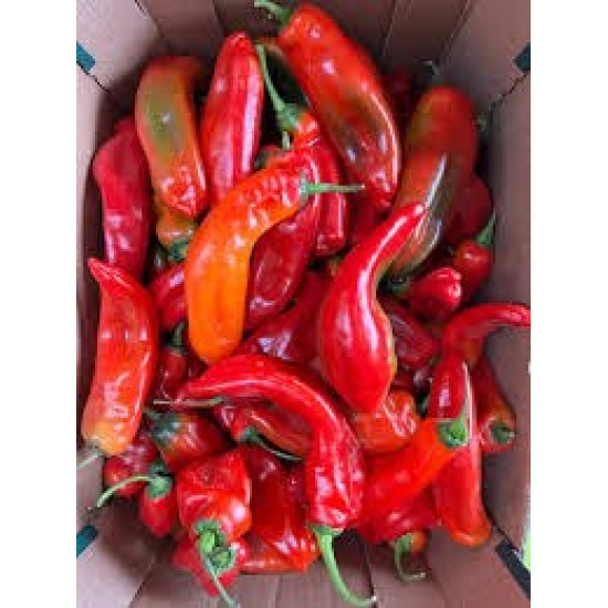 Tatashe Pepper (Red Cap pepper...